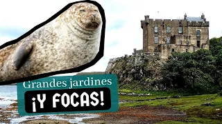 QUÉ VER en la isla de SKYE (III): CASTILLO de DUNVEGAN ¡y sus FOCAS! 🏰 ESCOCIA en AUTOCARAVANA #9