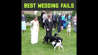Best Wedding Fails || Funniest Wedding Fails Compilation of 2021 || Wedding Fail Funny Videos