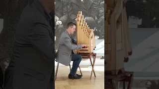 Paweł Leszczyński - portative organ (Instrument Fair 2020)