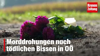 Morddrohungen nach tödlichen Bissen in OÖ | krone.tv NEWS