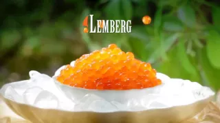 Lemberg, TV-Spot 2011