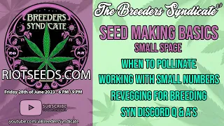 Seedmaking Basics - Beginning Steps to Making Seeds in Small Spaces w User Q&A S08E09