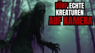 5 mysteriöse KREATUREN die auf KAMERA eingefangen wurden