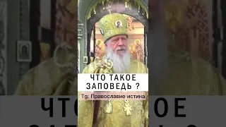 ЧТО ЗНАЧИТ ЗАПОВЕДЬ ❓ Епископ Августин #заповедь #православие #христианство