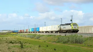 Trenes por Montijo en el primer tercio de 2024