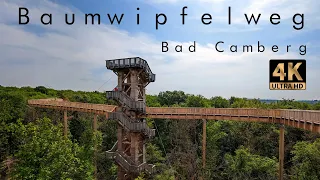 Baumwipfelweg Bad Camberg