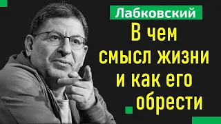 В чем смысл жизни и как его приобрести Михаил Лабковский