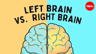 The left brain vs. right brain myth - Elizabeth Waters