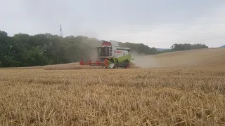 Žně 2022 Claas lexion 420