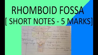 RHOMBOID FOSSA l 1ST YEAR MBBS ANATOMY NOTES l SHORT NOTES l