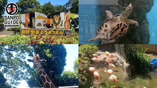 【野毛山動物園①】夏の野毛山動物園を散歩してランチ食べてきた  | 神奈川散歩