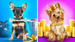 Cão Pobre VS Cão Rico! | A vida dos donos de animais de estimação ricos versus pobres