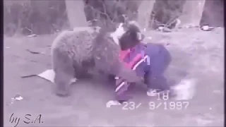 Khabib Nurmagomedov wrestles a bear when he was a child