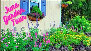 June 2022 Garden Tour | Early Summer Blooms