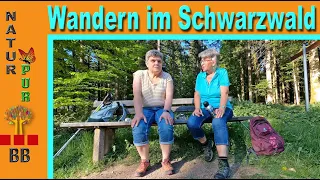 Wandern im Schwarzwald - Glaswaldsee - eine Tour wie aus einem Märchen - 4K