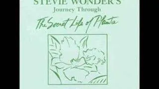 Come Back As A Flower - Stevie Wonder