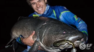 Soft Plastics for Murray Cod