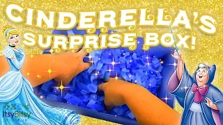 DISNEY'S CINDERELLA SURPRISE BOX! Disney Princess Blind Box Fun!