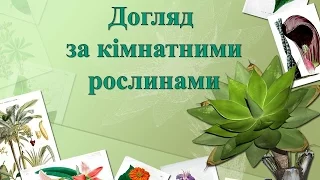 Уход за комнатными растениями Догляд за кімнатними рослинами Презентация для детей