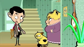 Mr Bean's Cat CONFUSION ! 😹 | Mr Bean Cartoon Season 2 | Full Episodes | Mr Bean Official