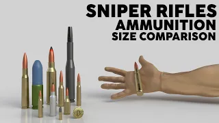 Sniper Rifles (Precision Rifles) Ammunition Size Comparison - 3D