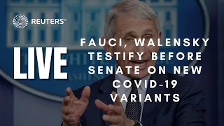 LIVE: Fauci, Walensky testify before Senate on response to new COVID-19 variants