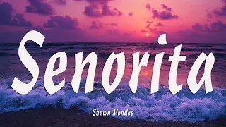 Shawn Mendes, Camila Cabello - Señorita (Lyrics) Letra