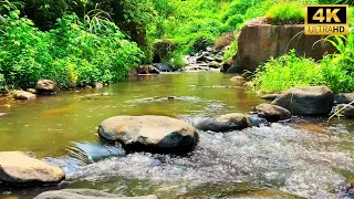 Nature River Ambience Sounds For Sleeping  White Noise, Relaxing, Meditation, River Sounds mountai