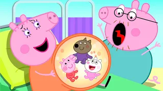 Daddy Pig and Mummy Pig Funny Stories | Peppa Pig Funny Animation