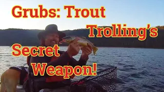 Grubs For Trout?