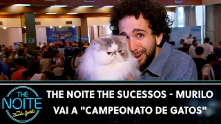 The Noite The Sucessos - Murilo Couto vai a "Campeonato de Gatos" | The Noite (10/05/24)