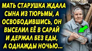 Мать старушка ждала сына много лет, а вернувшись, он отправил ее в сарай и произошло шокирующее…