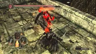 Dark Souls 2 - Fume Ultra Greatsword Guard Break