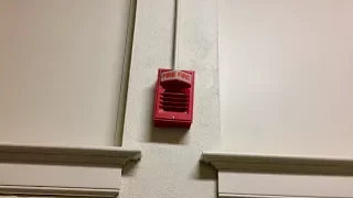 Fire Alarm Test #41