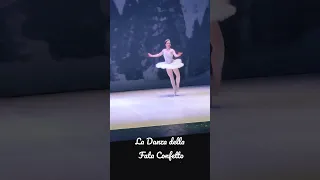 Lo Schiaccianoci - La Danza della Fata Confetto 🩰 (Balletto di Milano)