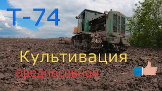 Трактор Т-74 . Культивируем перед посевом...