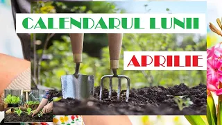 Calendarul grădinarului pentru luna APRILIE. Ce plantăm și ce semănăm în aprilie🌱🌱🌱