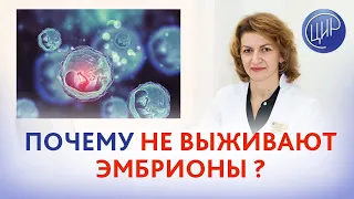 ЭКО в 40+. Мужской фактор. Почему не выживают эмбрионы? Дементьева С.Н.