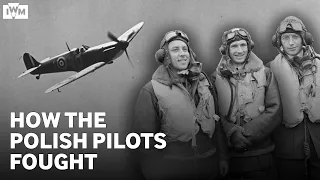 The Polish Pilots of the Battle of Britain