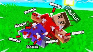 I Broke EVERY BONE In Minecraft.. (Mods)