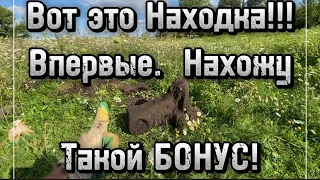 Вот Это Монстр !!! Впервые Нахожу Такую Находку!!! Разведка Новых Мест!