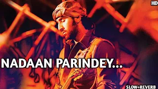 Nadaan Parindey - Rockstar || Lofi version || Lo-Fi-Me