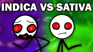 INDICA VS SATIVA