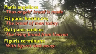 Panis Angelicus (Bread of Angels - Shorter Version) [with lyrics]