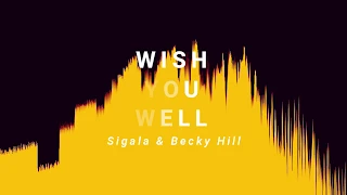 Wish You Well - Sigala ft. Becky Hill