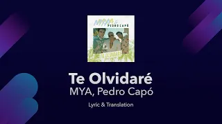 MYA, Pedro Capó - Te Olvidaré Lyrics English and Spanish - Translation & Subtitles - English Lyrics