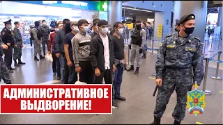 МВД РОССИИ проводит выдворение иностранных граждан, мигрантов за пределы РФ.