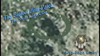 THE BIGFOOT MINT-PATCH, IT WAS "BIGFOOT BUSY!" Please Read Below