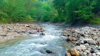 🍀Расслабляющие звуки Природы:  Шум реки и Плеск воды для Глубокого сна 3 часов