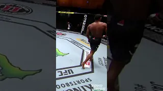 UFC knockouts of the year Nocautes do ano no UFC